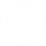 Globe Icon