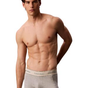 Shop Calvin Klein Underwear Men’s Grey Underwear TRUNK 3PK at Brands Seekers