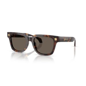 Shop Versace Men’s Brown Sunglass 2475627 at Brands Seekers