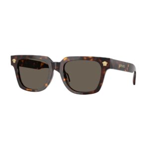 Shop Versace Men’s Brown Sunglass 2475627 at Brands Seekers