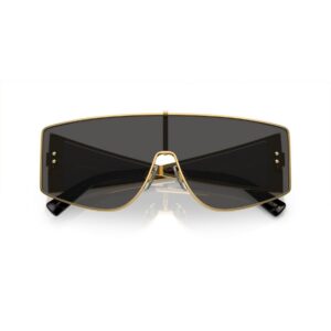 Shop Dolce & Gabbana Men’s Gold Sunglass 2475305 at Brands Seekers
