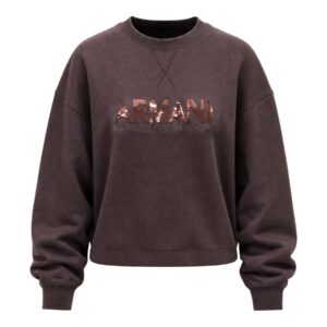 Покупайте женскую коричневую толстовку Armani Exchange 2476718 в магазине Brands Seekers