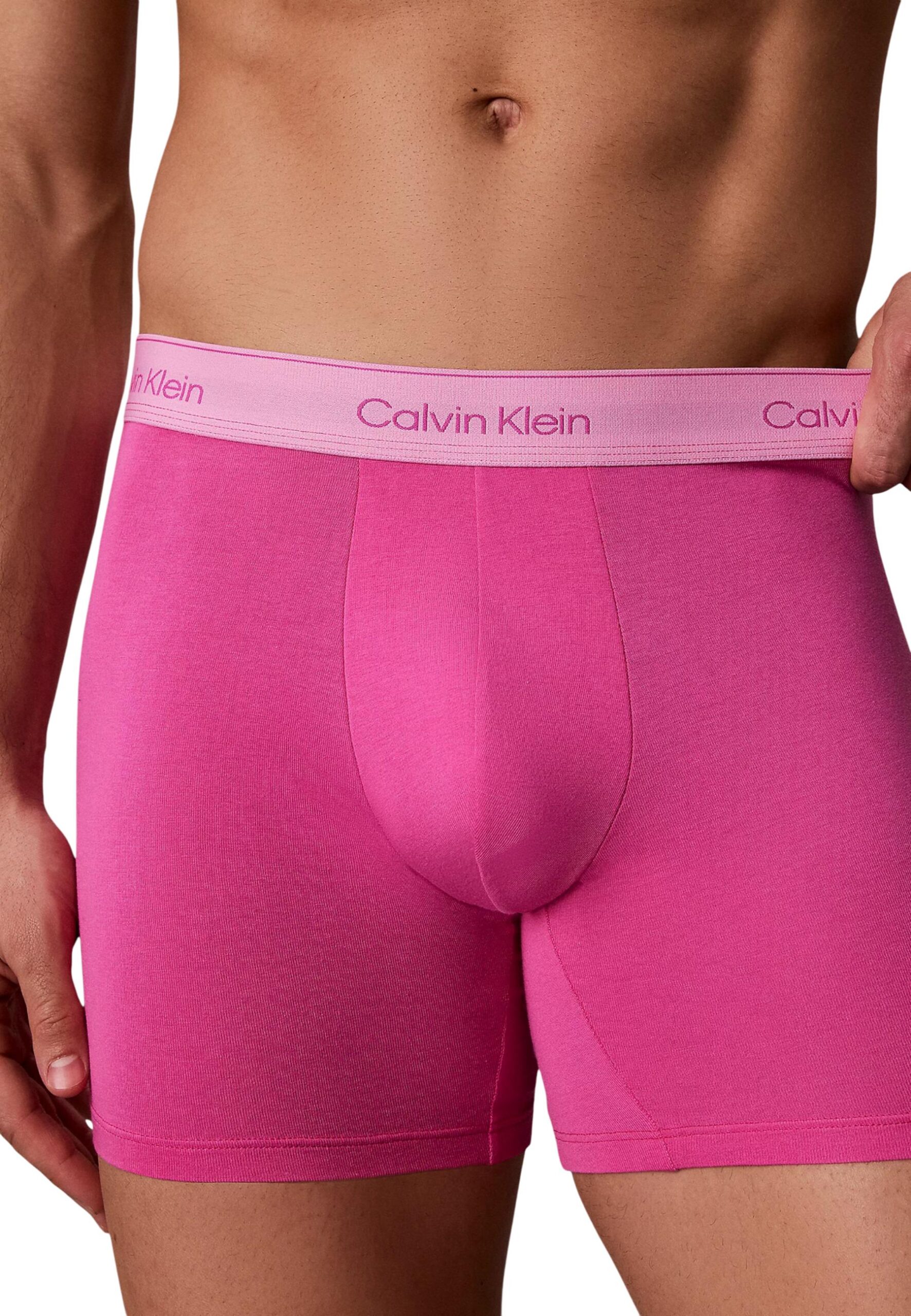 Calvin Klein Seluar dalam Lelaki | Brands Seekers