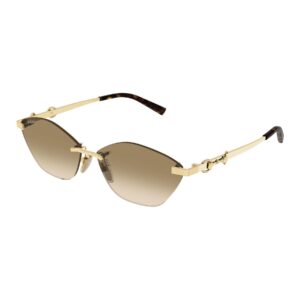 Shop Gucci Women’s Brown Sunglass GG2050S at Brands Seekers