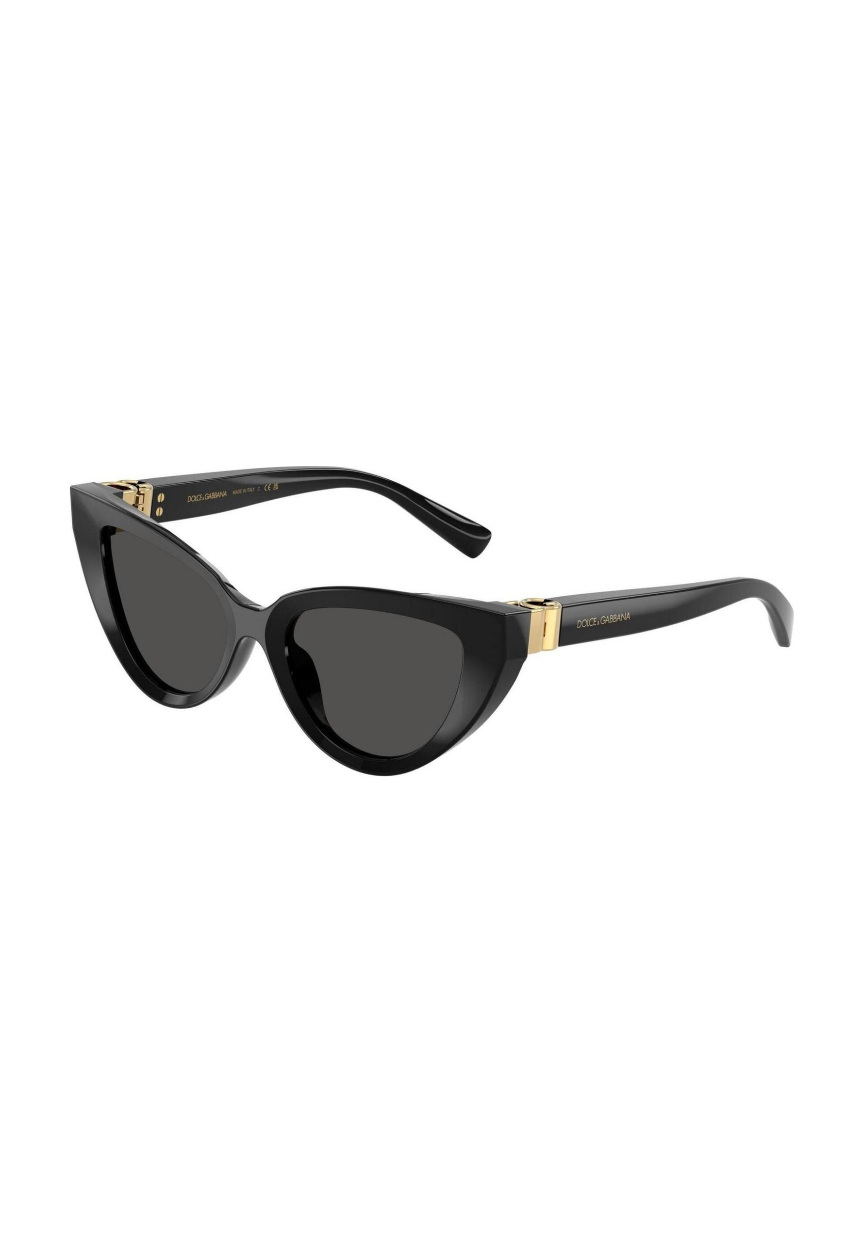 Shop Dolce & Gabbana Women’s Black Sunglass 2475356 at Brands Seekers